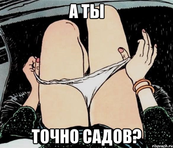 а ты точно садов?, Мем А ты точно