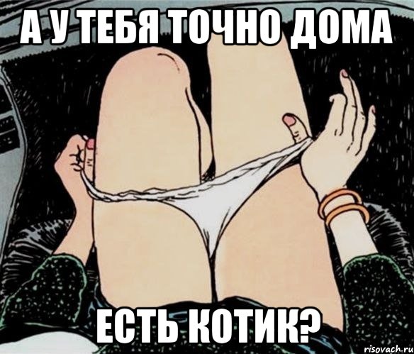 а у тебя точно дома есть котик?, Мем А ты точно