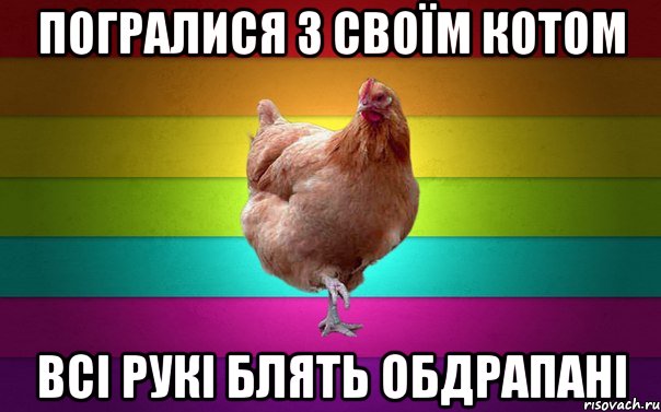 Погралися з своїм котом всі рукі блять обдрапані