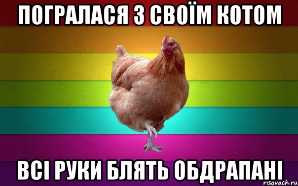 Погралася з своїм котом всі руки блять обдрапані