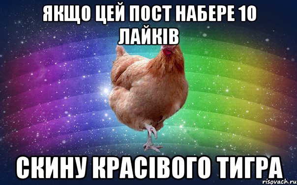 якщо цей пост набере 10 лайків скину красівого тигра
