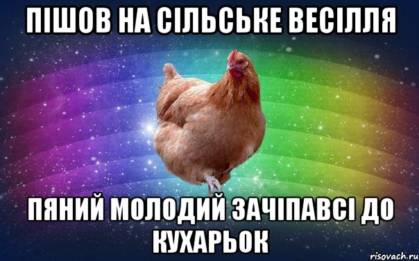 пішов на сільське весілля пяний молодий зачіпавсі до кухарьок