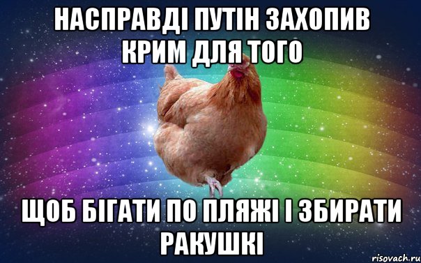 Насправді Путін захопив крим для того щоб бігати по пляжі і збирати ракушкі