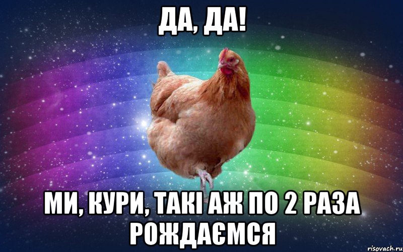 Да, да! Ми, Кури, такі Аж по 2 раза рождаємся, Мем Весела Курка