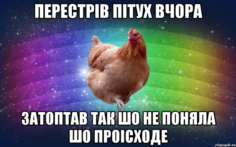 Перестрів пітух вчора Затоптав так шо не поняла шо проісходе