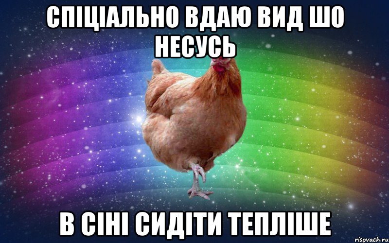 Спіціально вдаю вид шо несусь В сіні сидіти тепліше