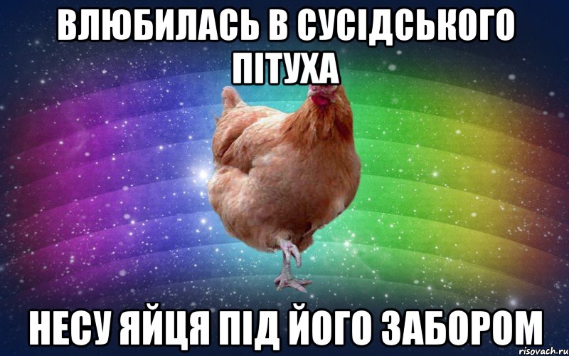 Влюбилась в сусідського пітуха Несу яйця під його забором