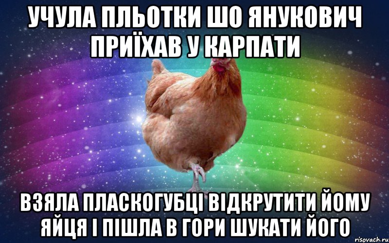 Учула пльотки шо янукович приїхав у карпати взяла пласкогубці відкрутити йому яйця і пішла в гори шукати його