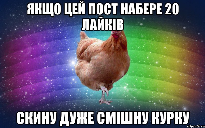 якщо цей пост набере 20 лайків скину дуже смішну курку, Мем Весела Курка