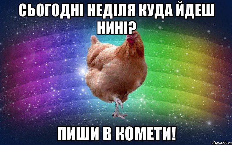 Сьогодні неділя куда йдеш нині? Пиши в комети!, Мем Весела Курка