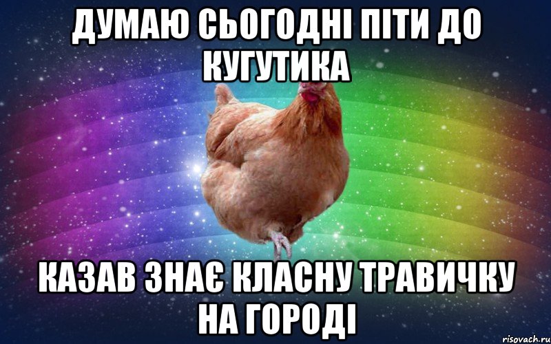 думаю сьогодні піти до кугутика казав знає класну травичку на городі, Мем Весела Курка