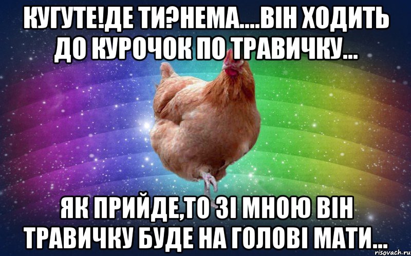 Кугуте!Де ти?Нема....Він ходить до курочок по травичку... Як прийде,то зі мною він травичку буде на голові мати..., Мем Весела Курка