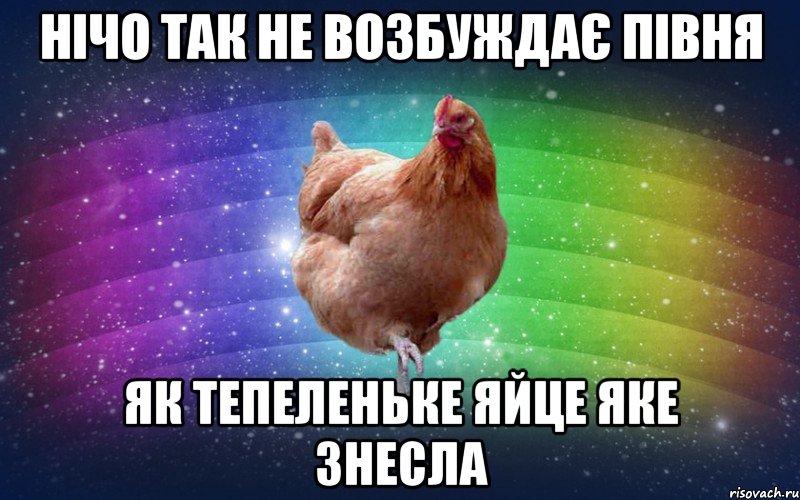 нічо так не возбуждає півня як тепеленьке яйце яке знесла, Мем Весела Курка