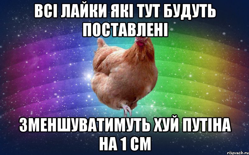 всі лайки які тут будуть поставлені зменшуватимуть хуй путіна на 1 см, Мем Весела Курка