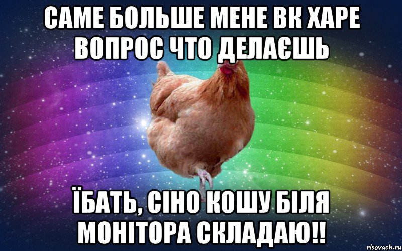 саме больше мене вк харе вопрос что делаєшь Їбать, сіно кошу біля монітора складаю!!