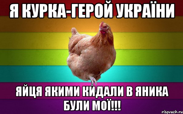 Я Курка-Герой України Яйця якими кидали в яника були мої!!!