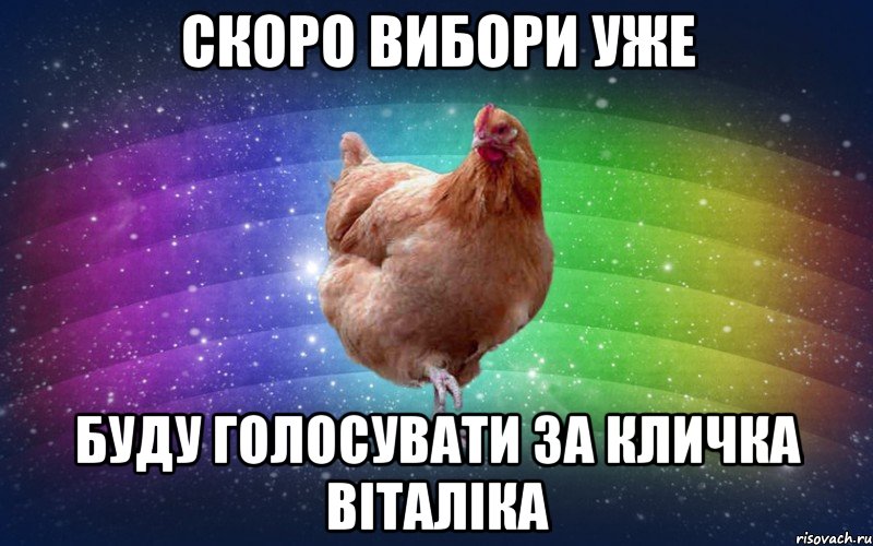 скоро вибори уже буду голосувати за кличка віталіка, Мем Весела Курка