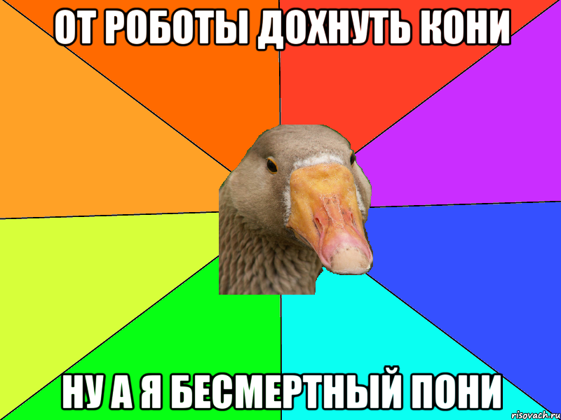 от роботы дохнуть кони НУ А Я БЕСМЕРТНЫЙ ПОНИ