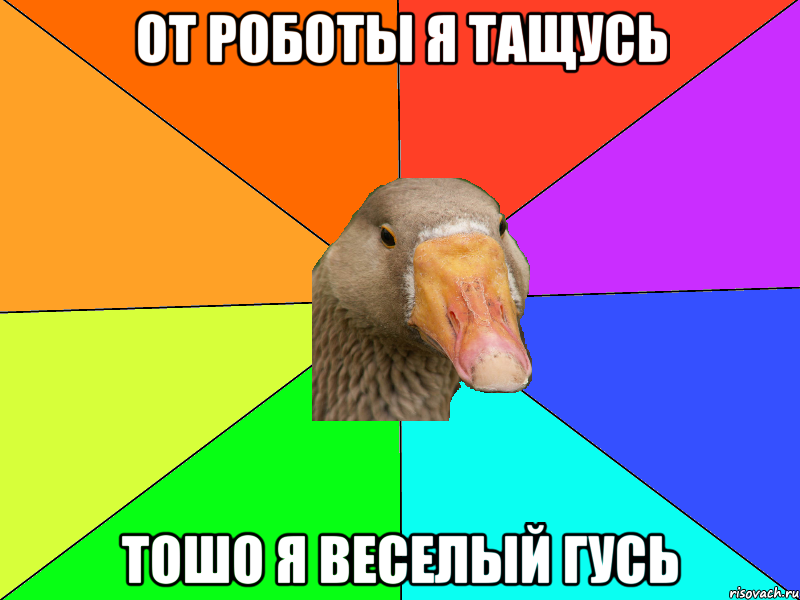 От роботы я тащусь тошо я веселый гусь