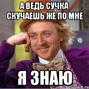 а ведь сучка скучаешь же по мне я знаю, Мем Ну давай расскажи (Вилли Вонка)
