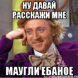 Ну давай расскажи мне маугли ебаное, Мем Ну давай расскажи (Вилли Вонка)
