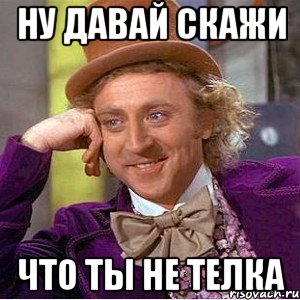Ну давай скажи что ты не телка, Мем Ну давай расскажи (Вилли Вонка)