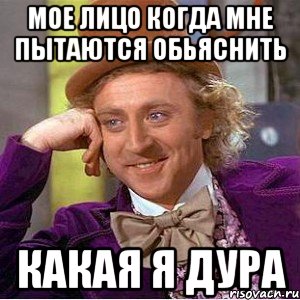 Мое лицо когда мне пытаются обьяснить какая я дура