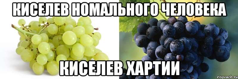 Киселев номального человека Киселев хартии