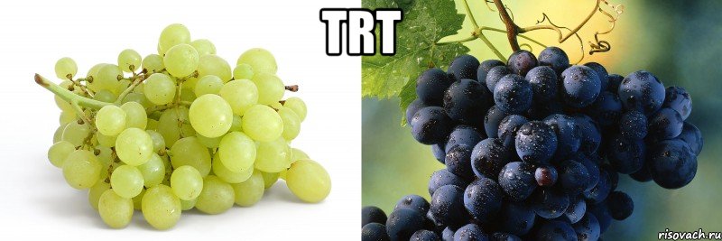 trt 
