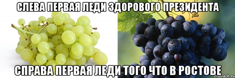 Слева первая леди Здорового президента Справа первая леди того что в Ростове