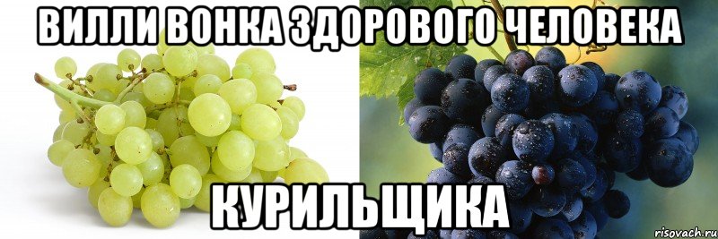 Вилли Вонка здорового человека курильщика