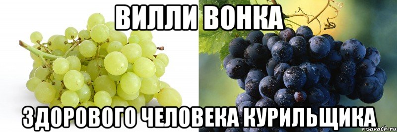 Вилли Вонка здорового человека курильщика