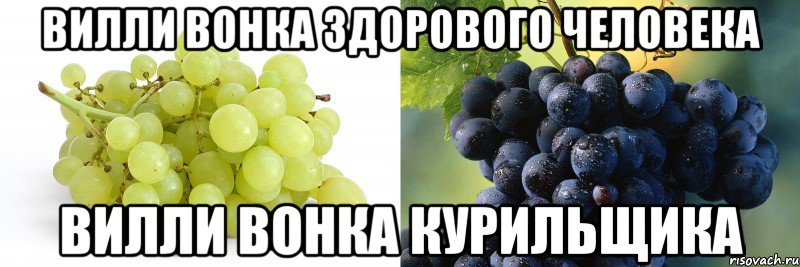 Вилли Вонка здорового человека Вилли Вонка курильщика