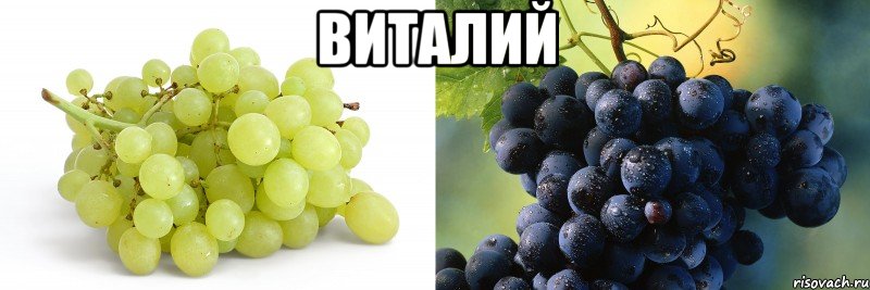 Виталий 