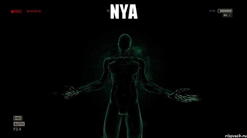 nya 