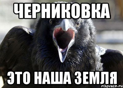 ЧЕРНИКОВКА ЭТО НАША ЗЕМЛЯ, Мем ворона