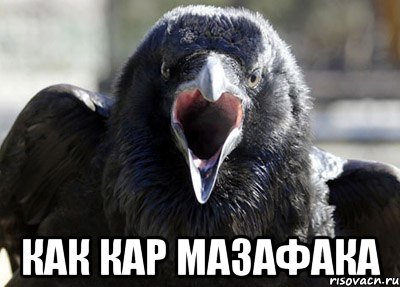  как кар мазафака, Мем ворона