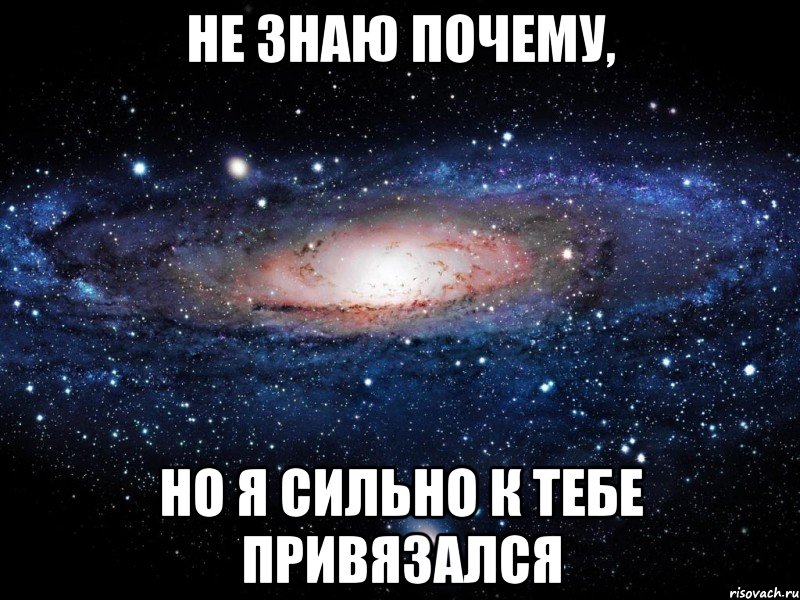 Не знаю почему, Но я сильно к тебе привязался, Мем Вселенная