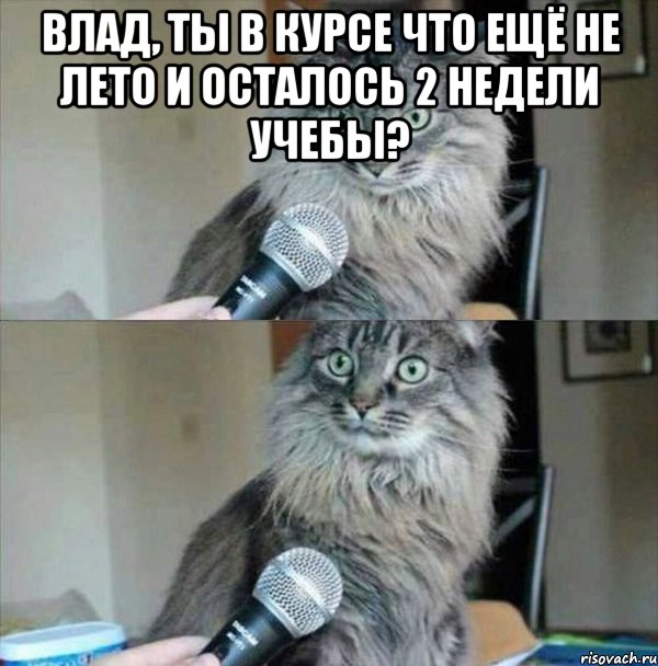 Влад, ты в курсе что ещё не лето и осталось 2 недели учебы? 