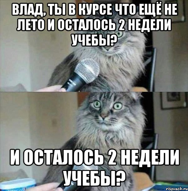 Влад, ты в курсе что ещё не лето и осталось 2 недели учебы? и осталось 2 недели учебы?