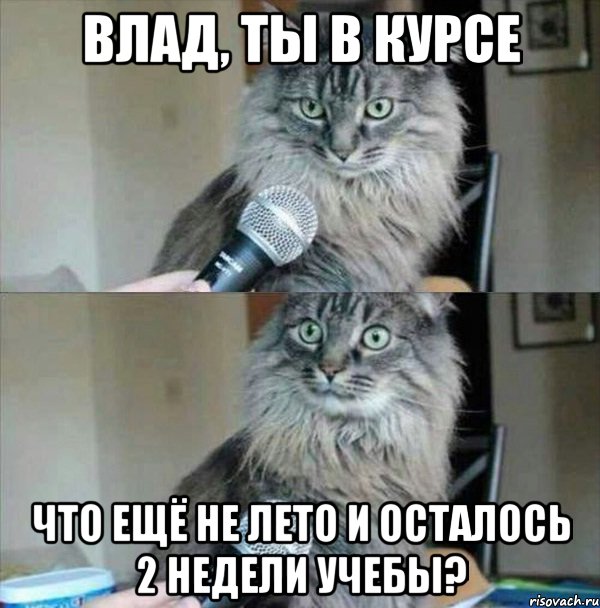 Влад, ты в курсе что ещё не лето и осталось 2 недели учебы?