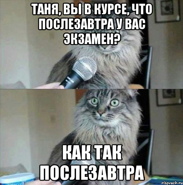 Таня, вы в курсе, что послезавтра у вас экзамен? Как так послезавтра