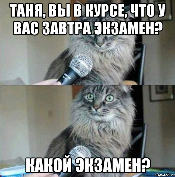 Таня, вы в курсе, что у вас завтра экзамен? Какой экзамен?