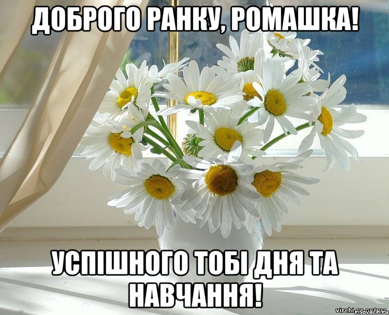 Доброго ранку, Ромашка! Успішного тобі дня та навчання!