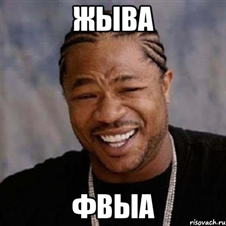 Жыва фвыа, Мем xzibit