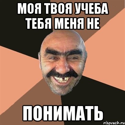Моя твоя учеба тебя меня не понимать, Мем Я твой дом труба шатал