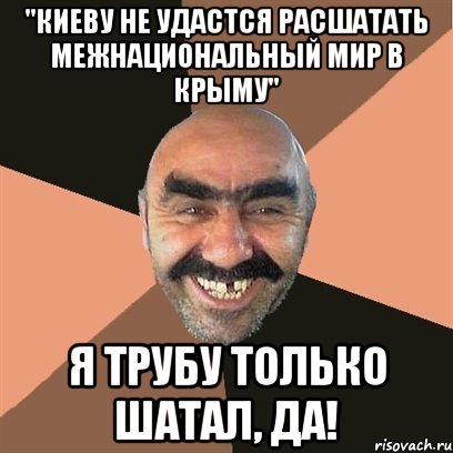 "Киеву не удастся расшатать межнациональный мир в Крыму" Я трубу только шатал, да!, Мем Я твой дом труба шатал