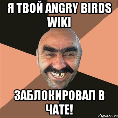 Я твой Angry Birds Wiki Заблокировал в чате!, Мем Я твой дом труба шатал