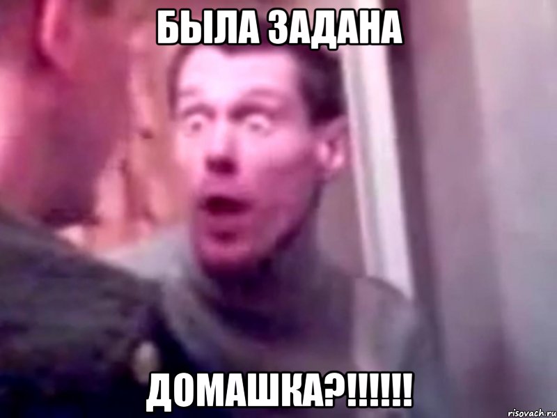 Была задана Домашка?!!!!!!, Мем Запили