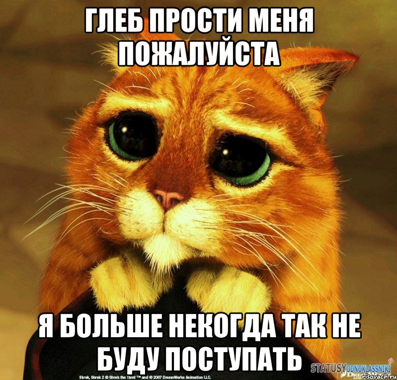 Глеб прости меня пожалуйста Я больше некогда так не буду поступать, Мем Котик из Шрека